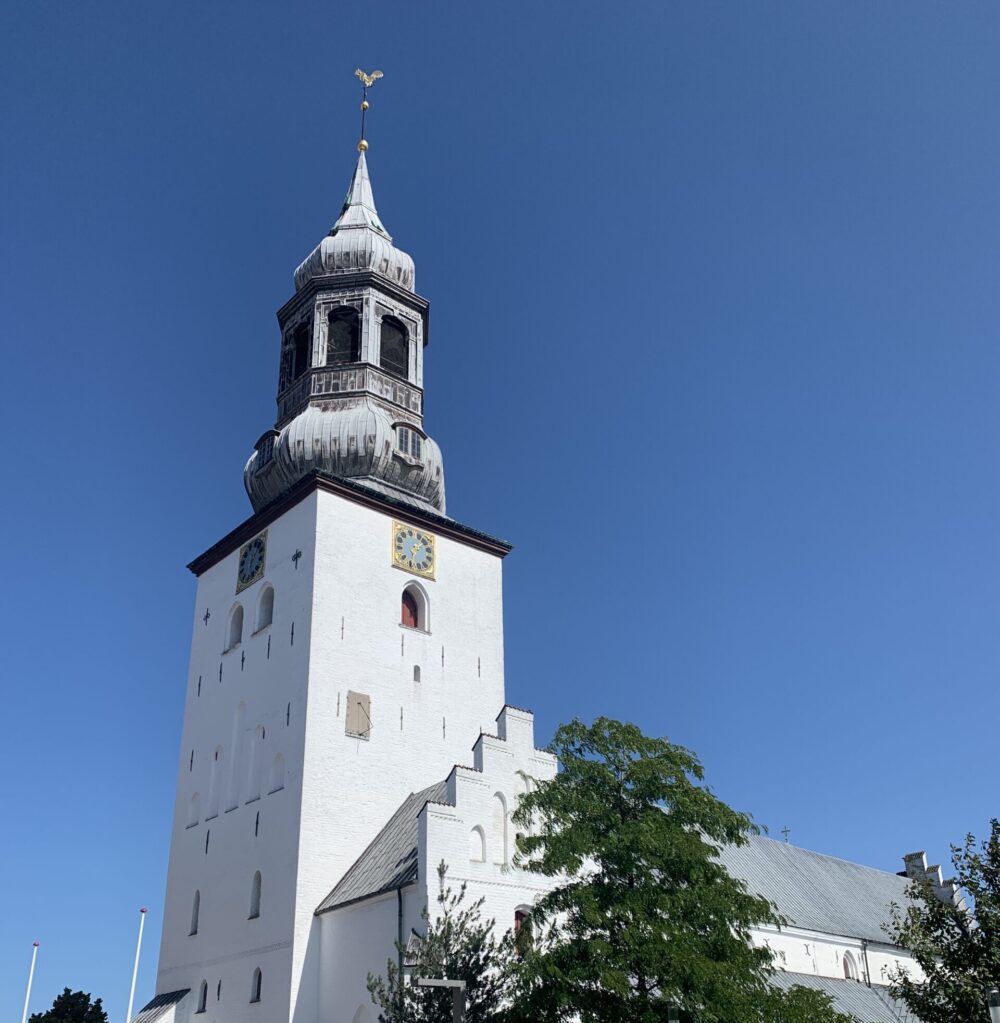 Budolfi Kirke i Viborg