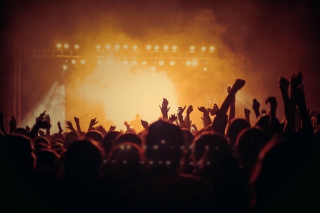 Festivaler, events, arrangementer, fest, publikum med hænderne i vejret